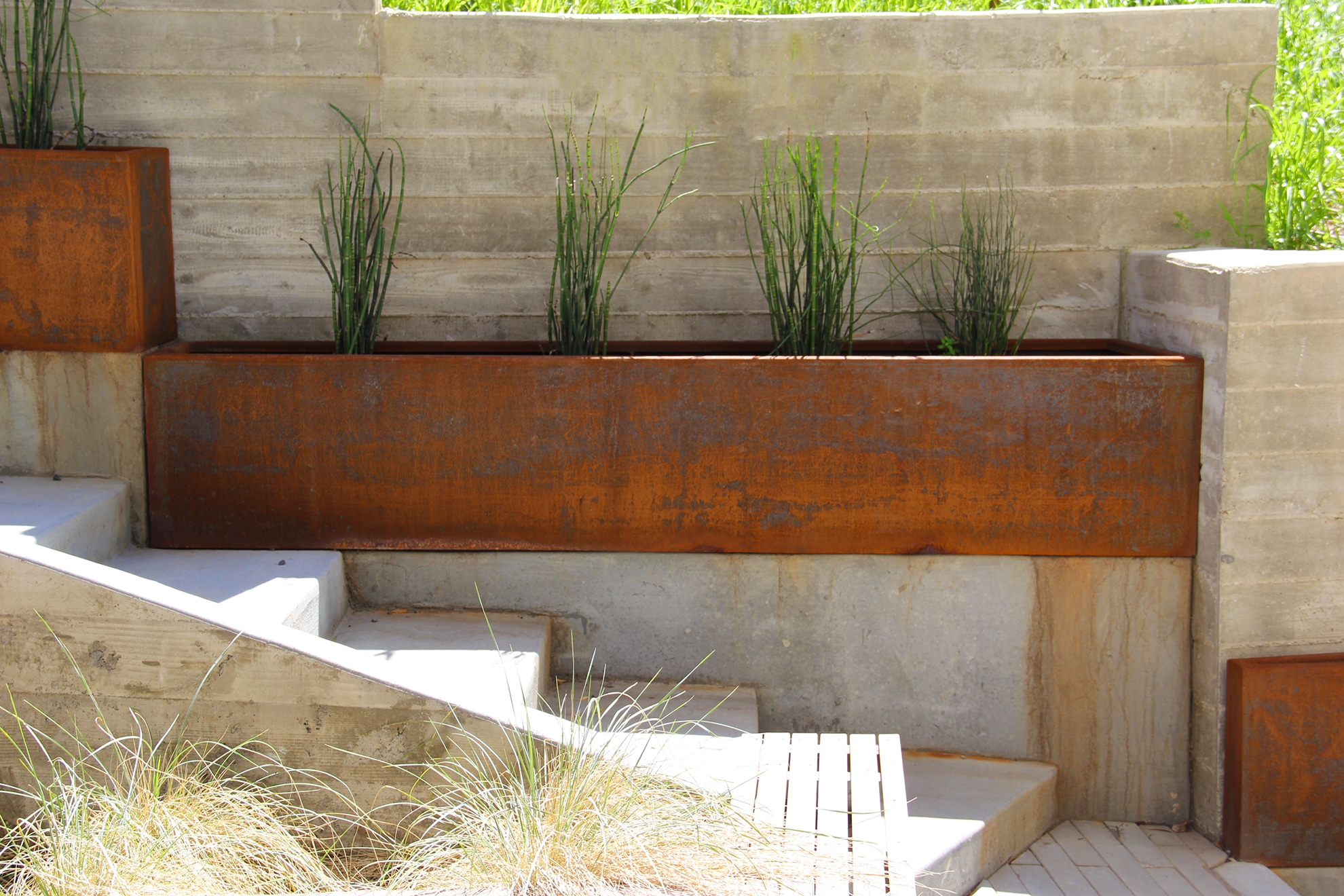 slightly russteel planters with horsetail plants