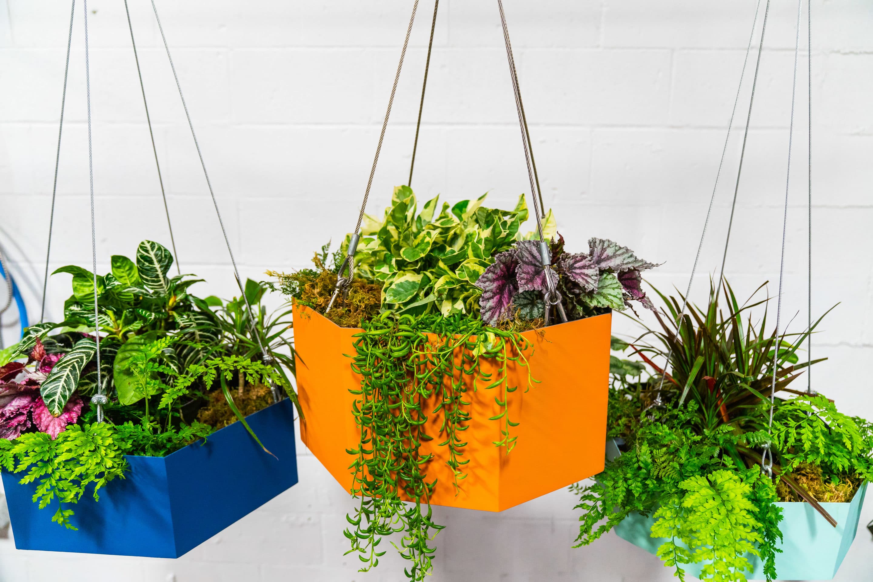 hanging planters